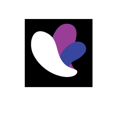 Incogniton